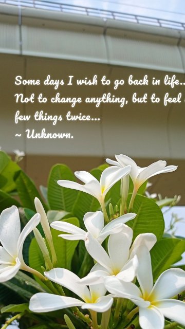 Some days I wish to go back in life... Not to change anything, but to feel a few things twice... ~ Unknown.